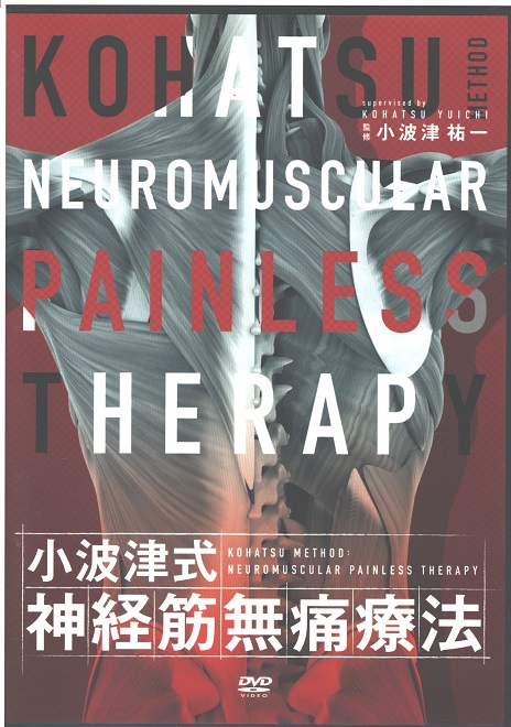 小波津式DVDのイメージ